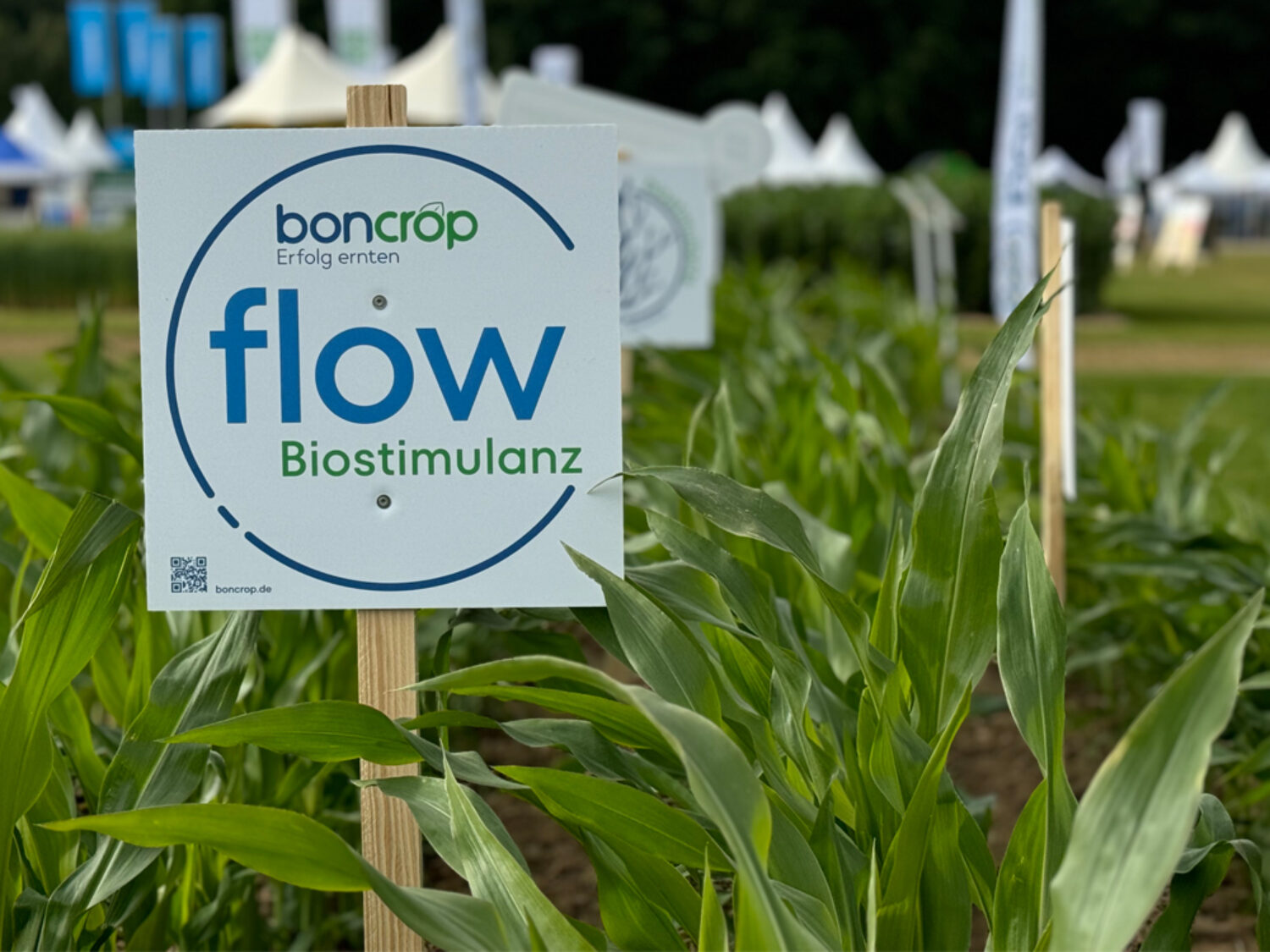 Boncrop flow schild im mais 1000x750 72dpi